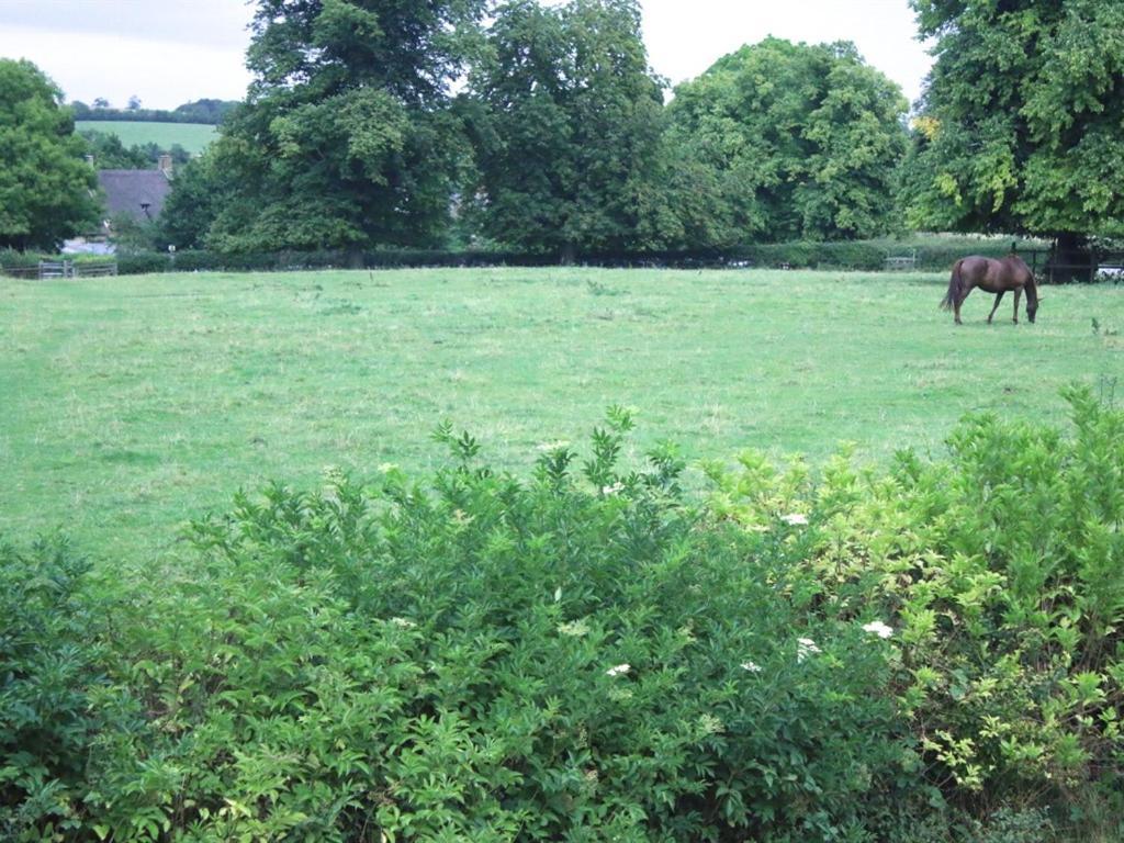สโตน เฮาส์ เบด แอนด์ เบรกฟาสต์ Bed & Breakfast Sulgrave ภายนอก รูปภาพ